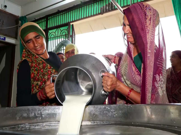 Women Take the Lead in Gujarat’s Dairy Cooperatives as Milk Procurement Rises 39% Women Take the Lead in Gujarat’s Dairy Cooperatives as Milk Procurement Rises 39%