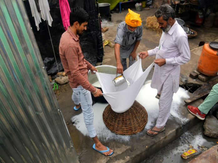 Himachal Pradesh Bans Sale of Synthetic Paneer as Genuine Dairy Paneer