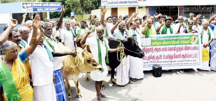 Tamil Nadu Dairy Farmers Threaten to Stop Milk Supply to Aavin From August 24 Over Procurement Price Tamil Nadu Dairy Farmers Threaten to Stop Milk Supply to Aavin From August 24 Over Procurement Price