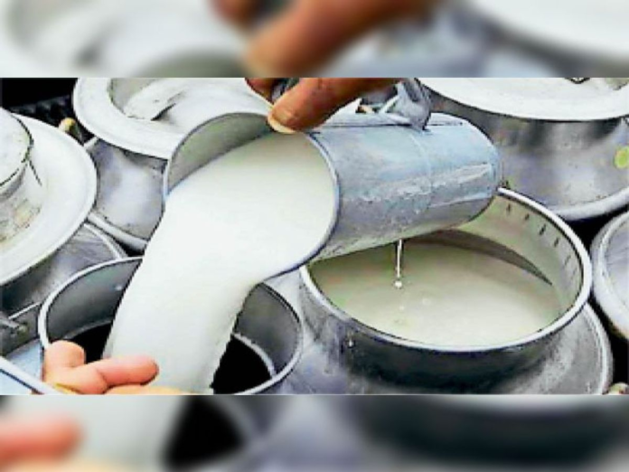 Bhopal Milk Procurement Jumps 38% as Better Farmer Returns, Collection Infrastructure Drive Growth