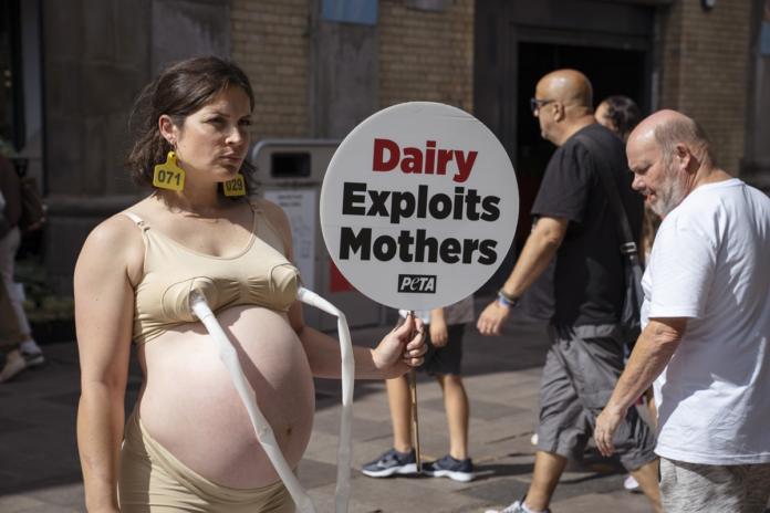 Pregnant PETA Campaigner Stages Cardiff Protest Against Dairy Industry, Urges Public to Go Vegan