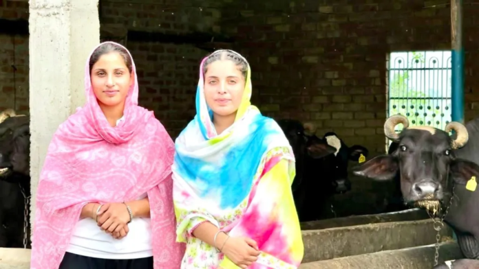 From One Buffalo to a ₹30-Lakh Dairy: Punjab Sisters Turn Hard Work into a Family Success Story