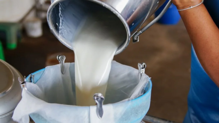Dairy Prices Likely to Rise Further During Festive Season, Says Heritage Foods CEO