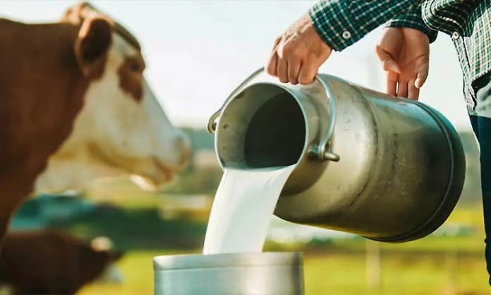 Karnataka Milk Unions Seek ₹8/Litre Milk Price Hike, Higher Producer Incentive