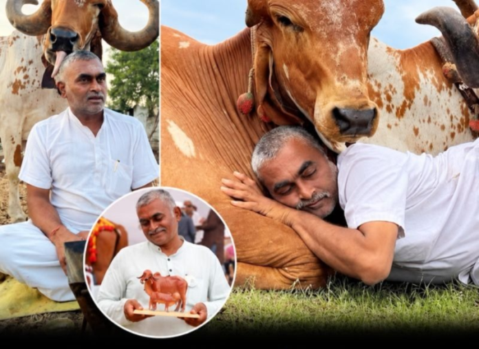 From Indigenous Cows to an ₹8-Crore Ghee Brand: Farmer Turns Traditional Dairy Into a Business