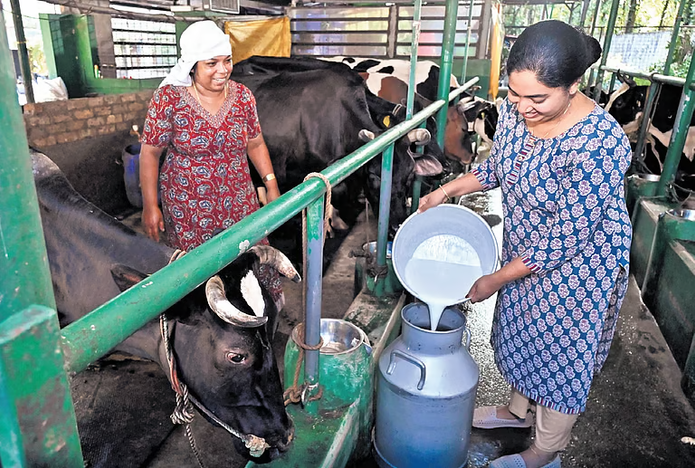 From Two Cows to 25: How Shyma Built a Value-Added Dairy Business in Kerala