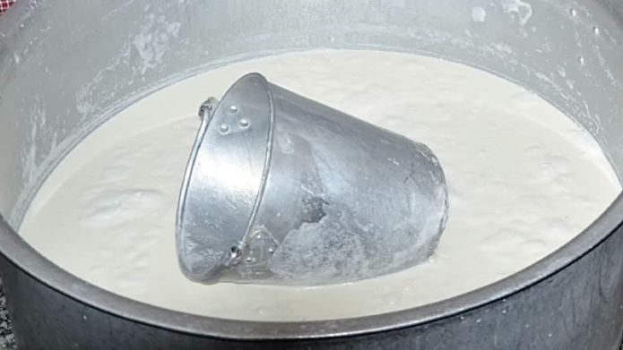 Gujarat’s Dairy Growth Faces Margin Pressure as Cattle Feed and Fodder Costs Rise
