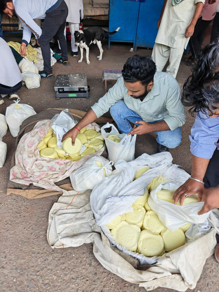 Delhi Food Safety Drive: 922 Kg of Sweets and Dairy Products Destroyed Ahead of Festive Season