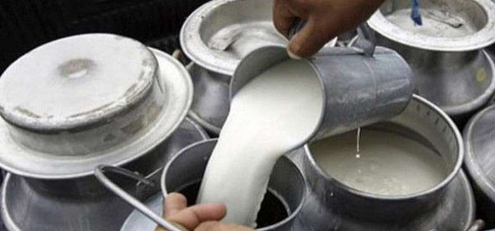 Dairy Farmers in Nepal’s Ghorahi Seek Fair Milk Prices Amid Rising Production Costs