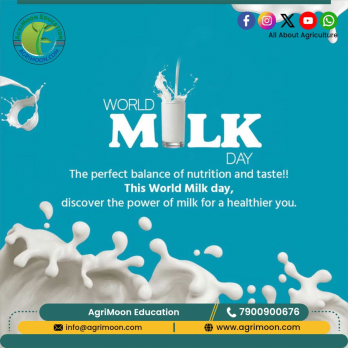 World Milk Day 2025