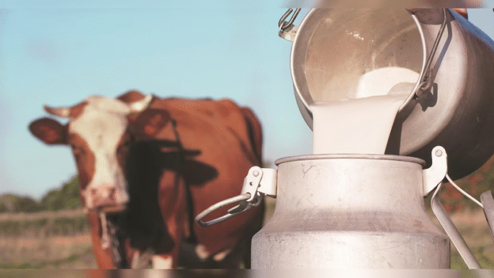 Milk Producing