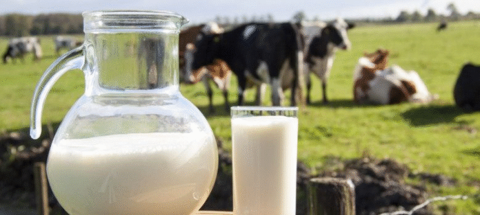Milk Price