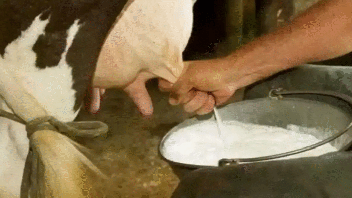 cow and buffalo milk has reduced.