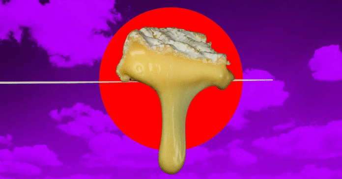 Climate Change Is Ruining Cheese