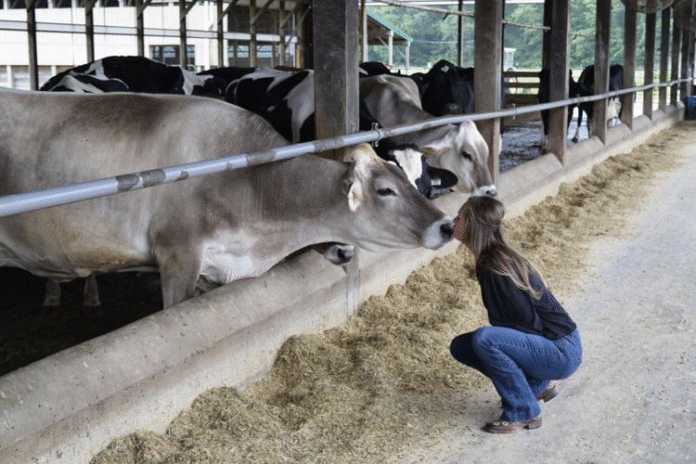 Meet the Dairy Farmers Pioneering Delaware’s Raw Milk Movement