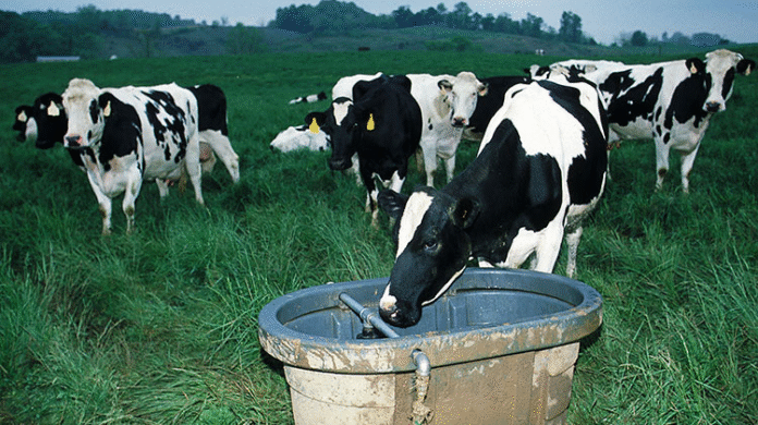 As Many As 9,500 Milk Producers Linked To Cooperative Dairy System, Says CM Mohan Yadav