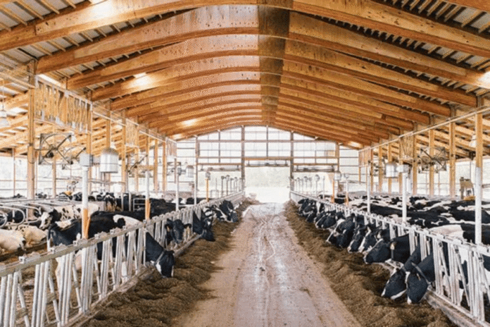 India’s Dairy Shield