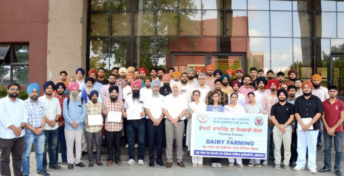 Dairy farming
