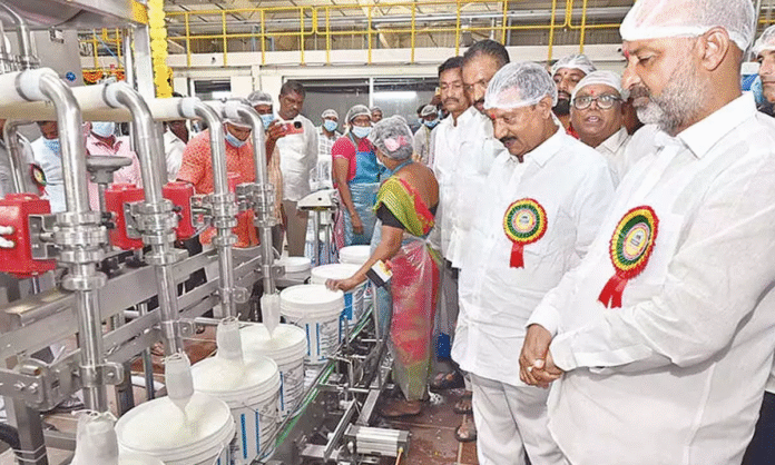 Automatic curd plant