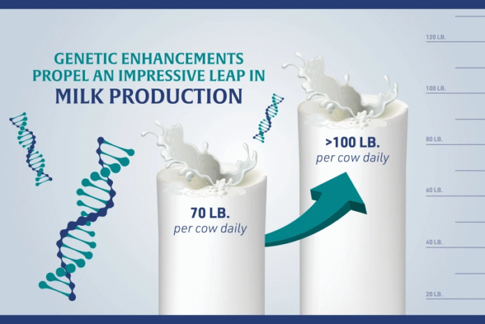 Genetic Advancements in Dairy Helping Meet the Protein Craze Demand