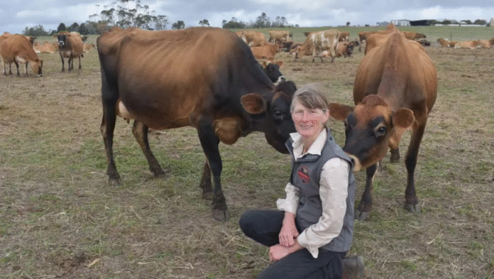 Dairy Farmers