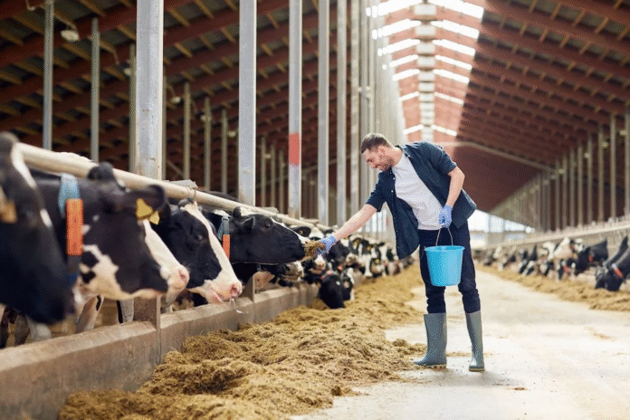 Economist Warns: Milk Oversupply Now Squeezing Dairy Farmers