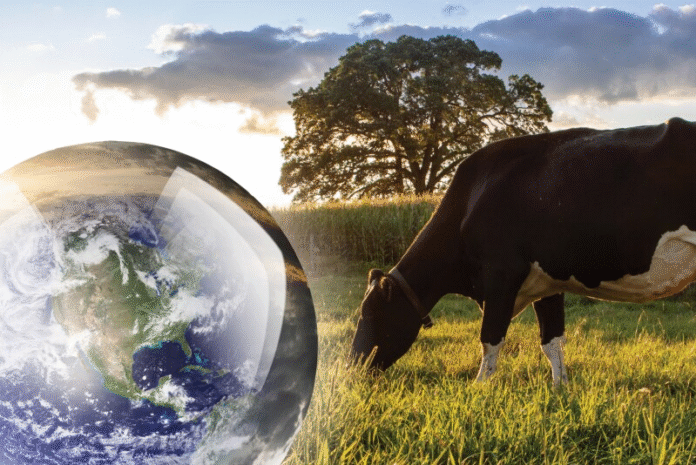 Global Dairy Crisis