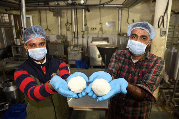 Punjab Takes a Bold Bite Into Goat Cheese