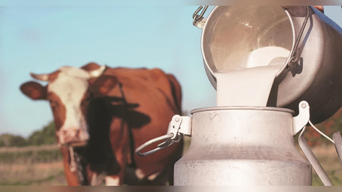India’s Dairy