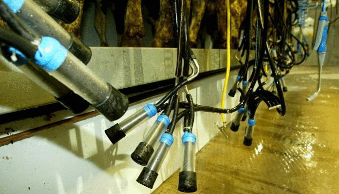 Challenging Dairy Year Ahead: What 2026 Really Looks Like for Irish Dairy Farmers