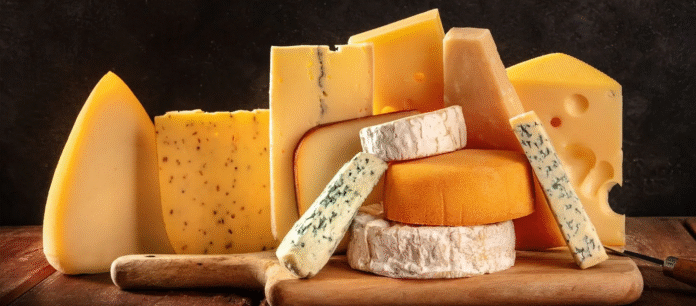 Eating Cheese May Be Linked to Lower Dementia Risk, Large Swedish Study Finds