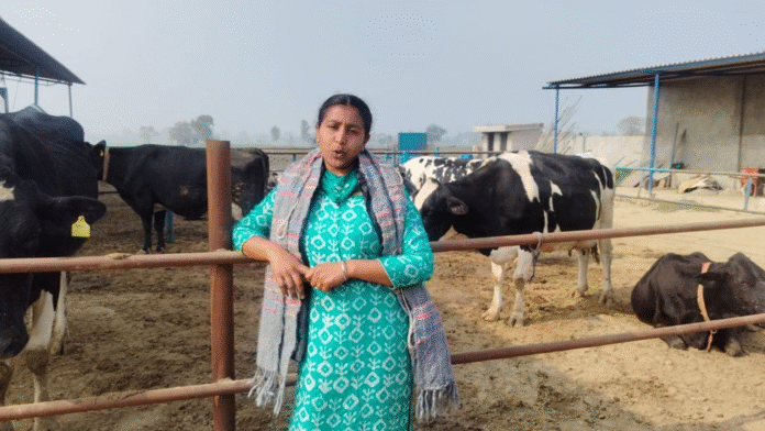 From 2 Cows to 35 Cattle: Amandeep Kaur Leads Dairy Revolution in Barnala