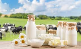 Global Dairy Prices Rise Despite Abundant Milk Supply