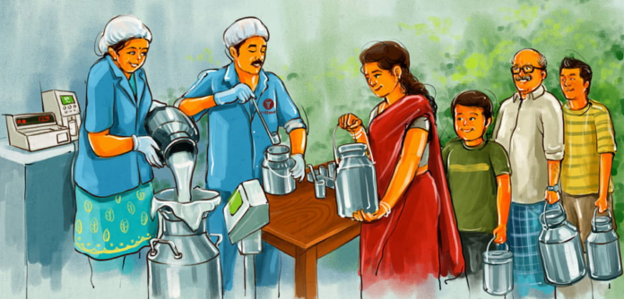 milk procurement milk procurement