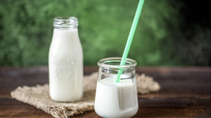 Non-Veg Milk: A Key Flashpoint in the India–US Trade Deal