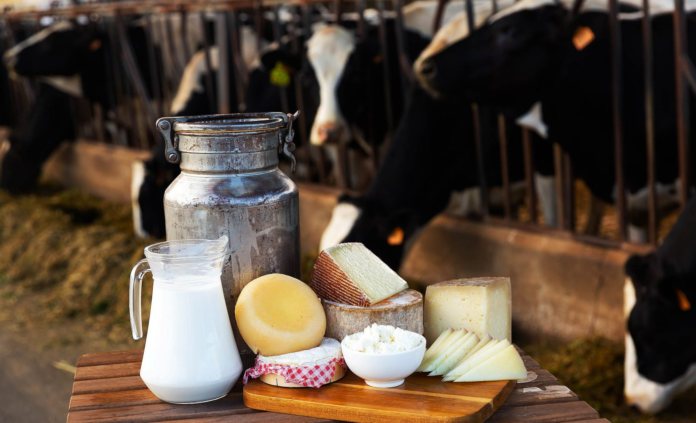 Study Finds Dairy’s Effects on Gut Health Are Mixed – and More Nuanced Than You Think