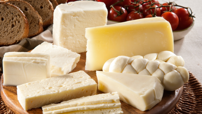 cheese cheese