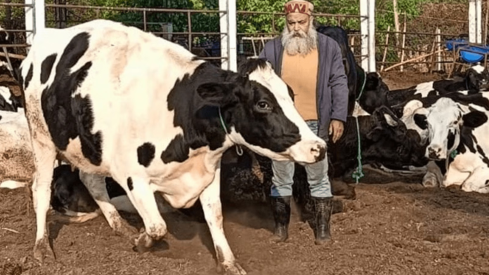 Livestock Sector Accounts for 85% of Himachal’s Methane Emissions: Scientific Report