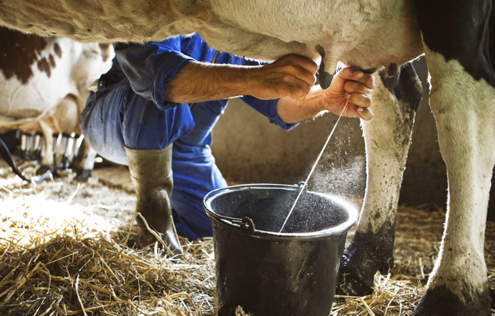 Can Indian Dairy Grow Without Increasing Milk Production