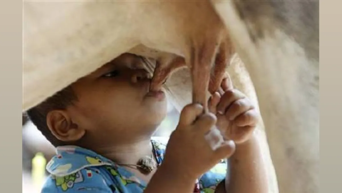 Uttar Pradesh Approves Dairy Expansion in Bundelkhand to Boost Farmer Income