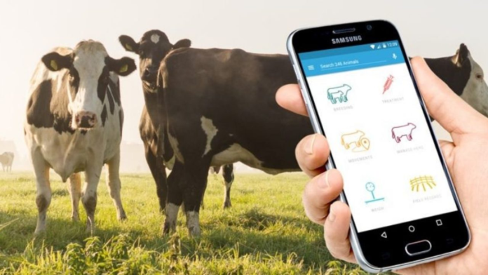 dairy farmers