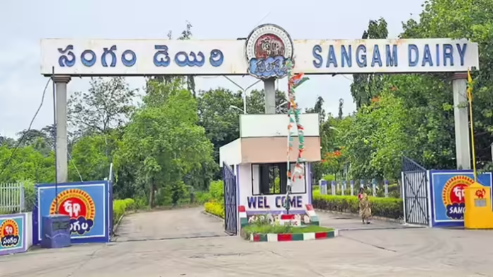 Sangam Dairy Hikes Milk Procurement Prices, Brings Relief to Farmers Sangam Dairy Hikes Milk Procurement Prices, Brings Relief to Farmers