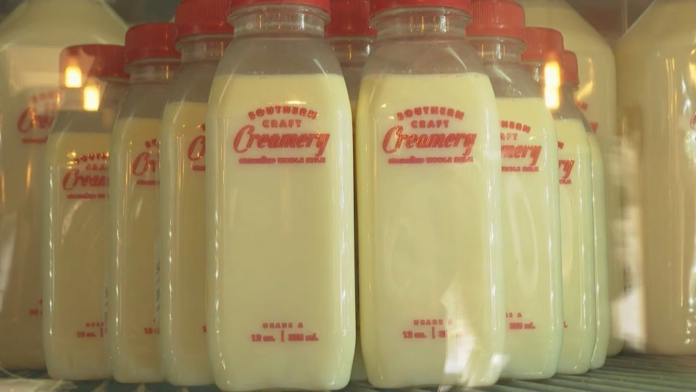 Dairy Farm Downsizing Reflects Mounting Pressure on Industry