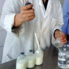 milk testing